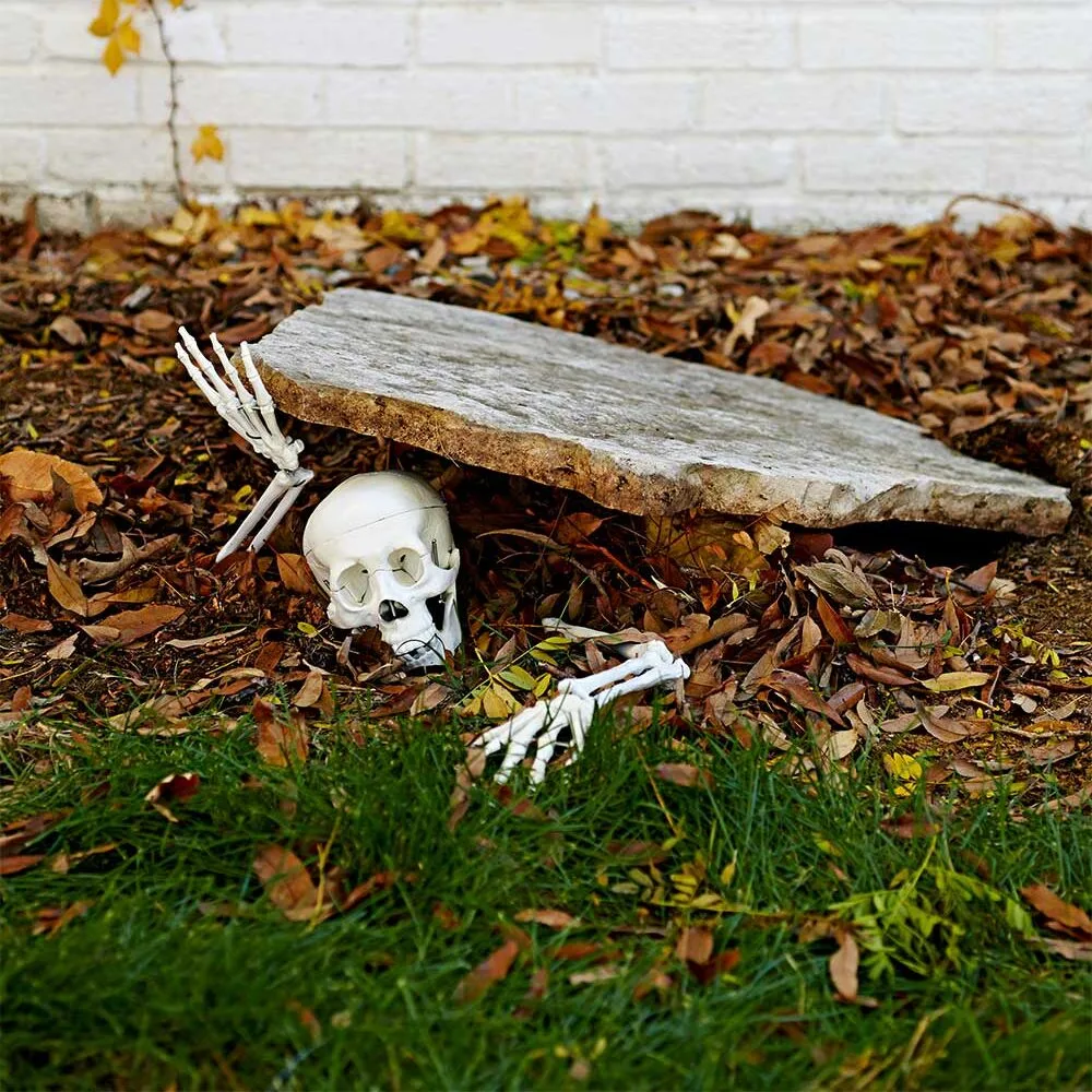 Funny skeleton crawling out of grave for Halloween