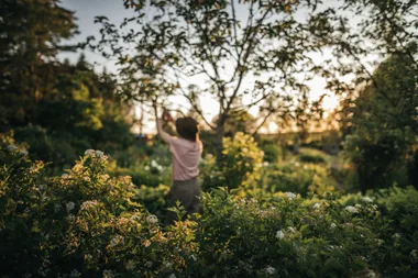 Loppers, choppers, pruners and shears – why using the right garden tool matters