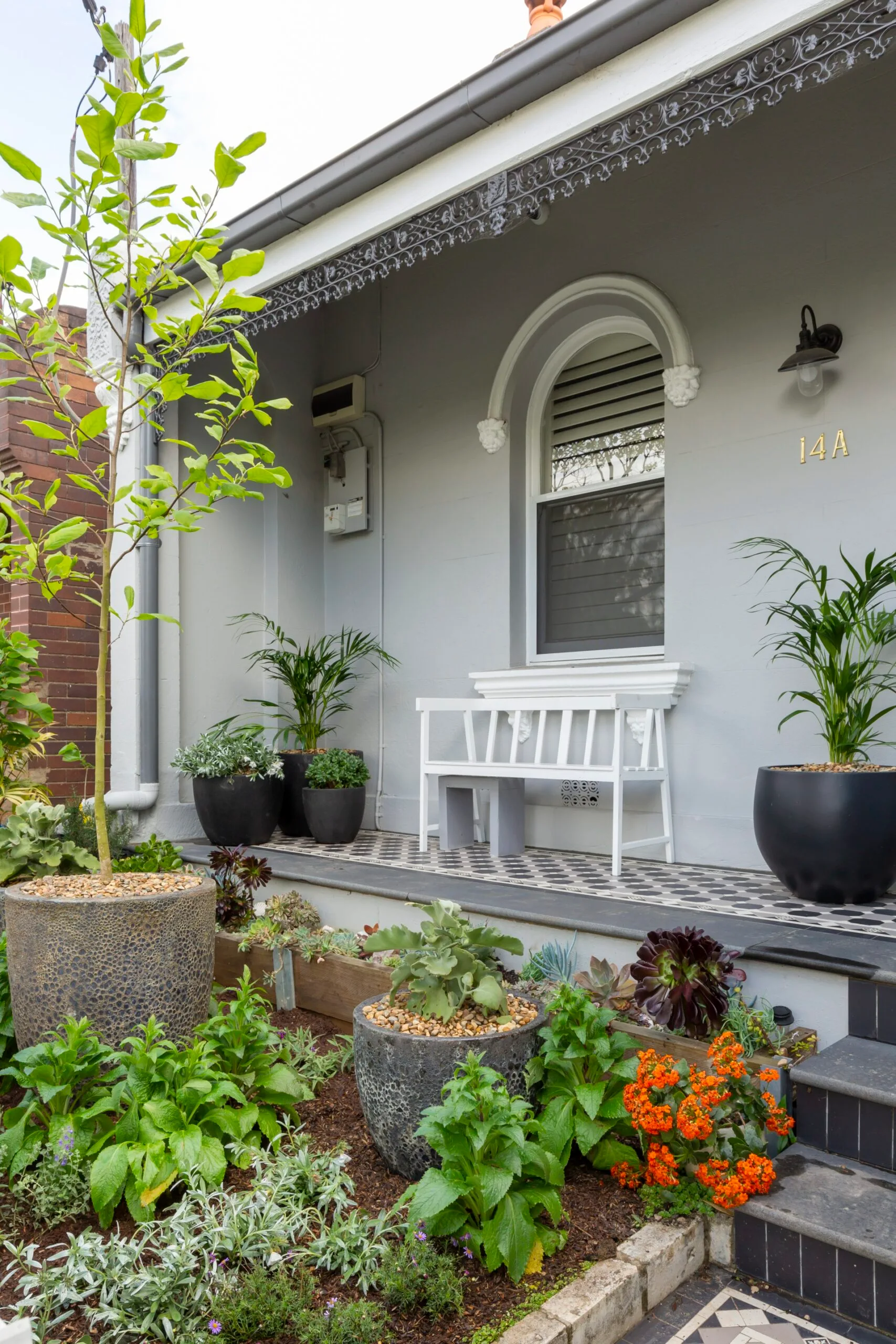 Terrace house garden featuring a mix of potted plants and groundcovers