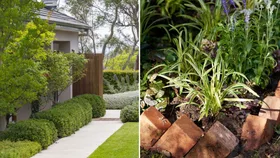 garden edging ideas