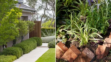 garden edging ideas
