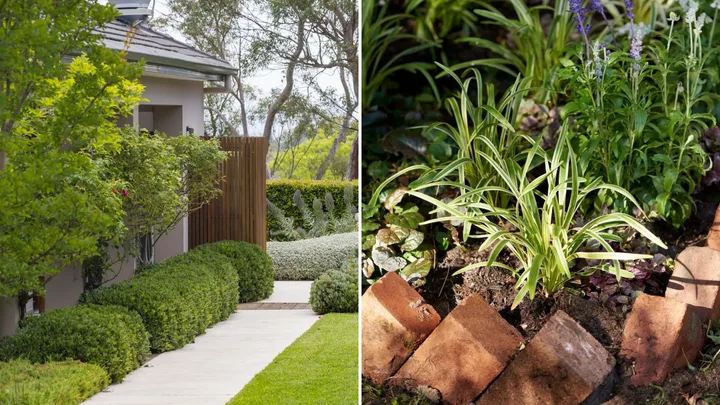 9 elegant garden edging ideas to elevate (and organise) your backyard