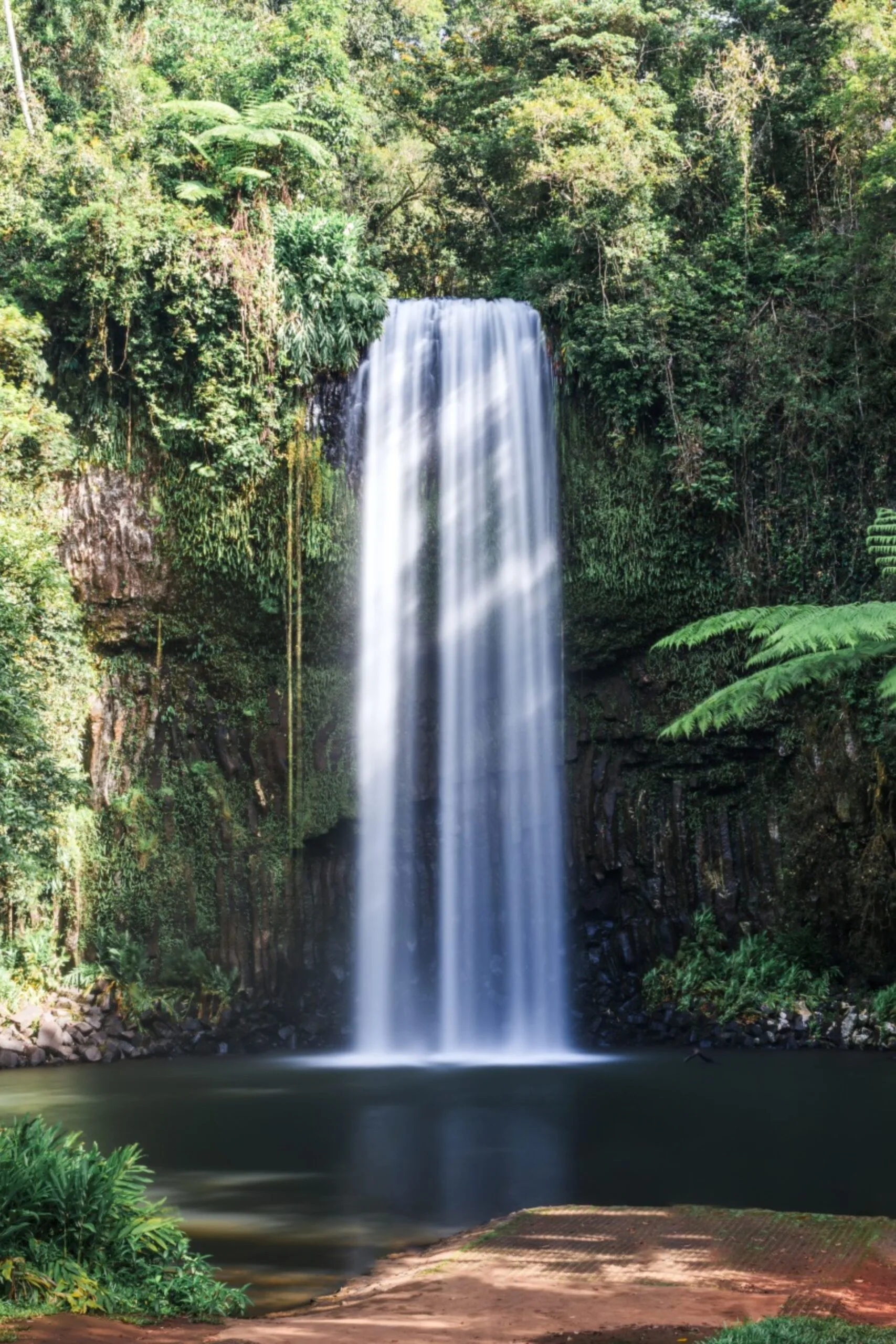 the daintree rainforest waterfall