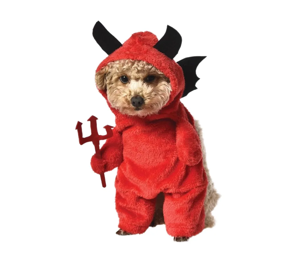 devil dog costume