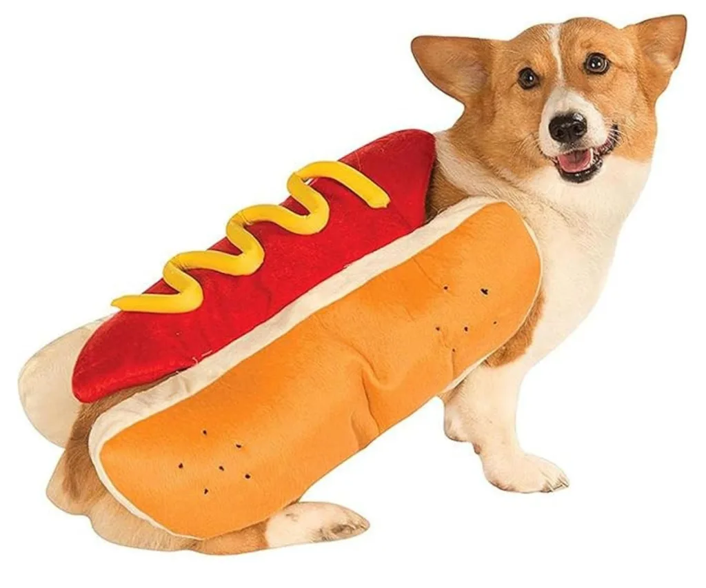 hot dog costume for dogs halloween