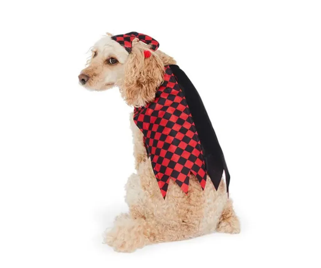 halloween jester costume pets