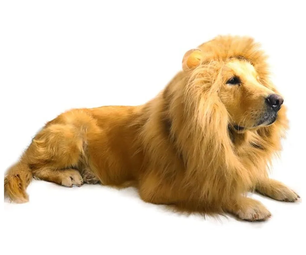 lion mane dog costume for halloween