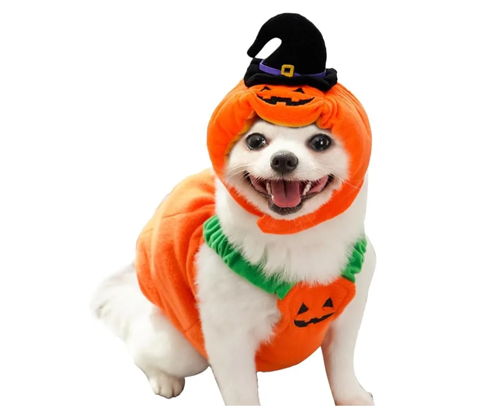pumpkin costume for dogs for halloween