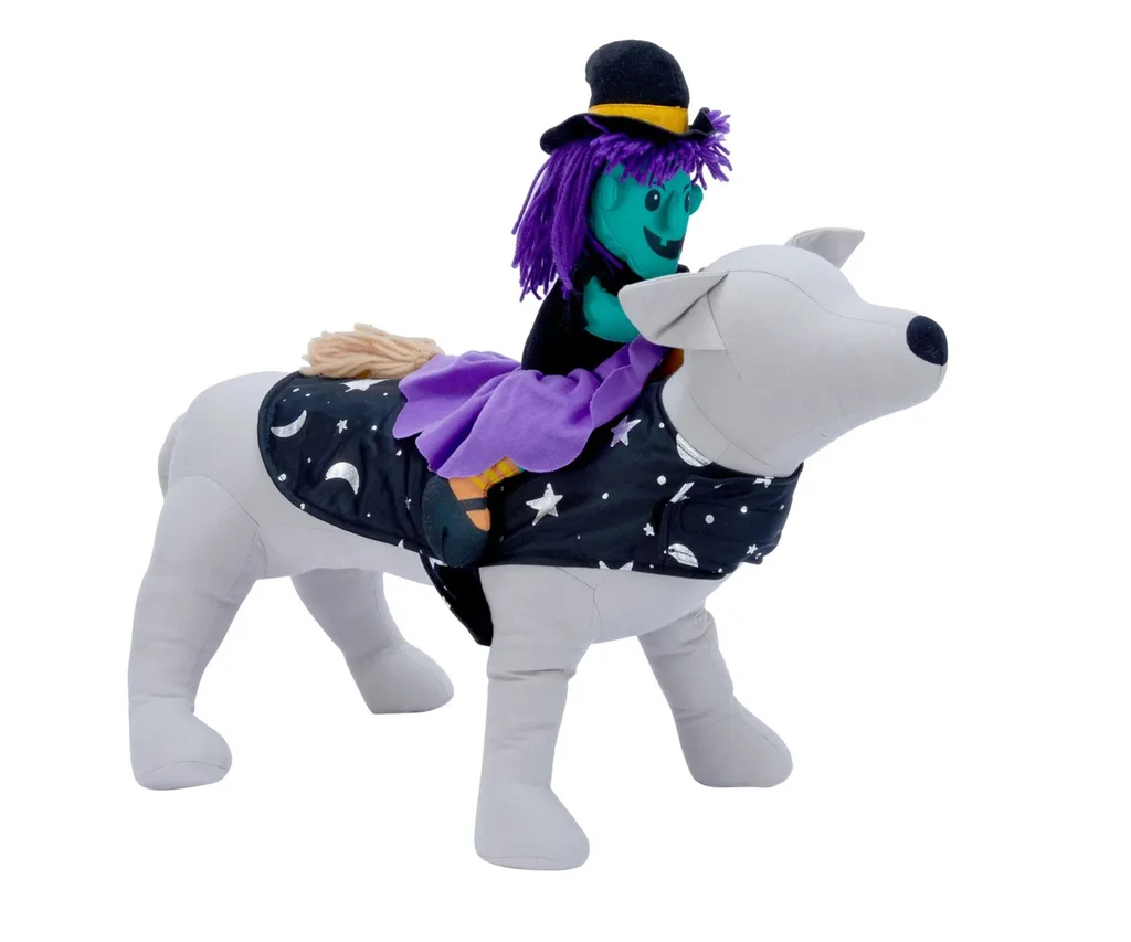 halloween dog witch costume