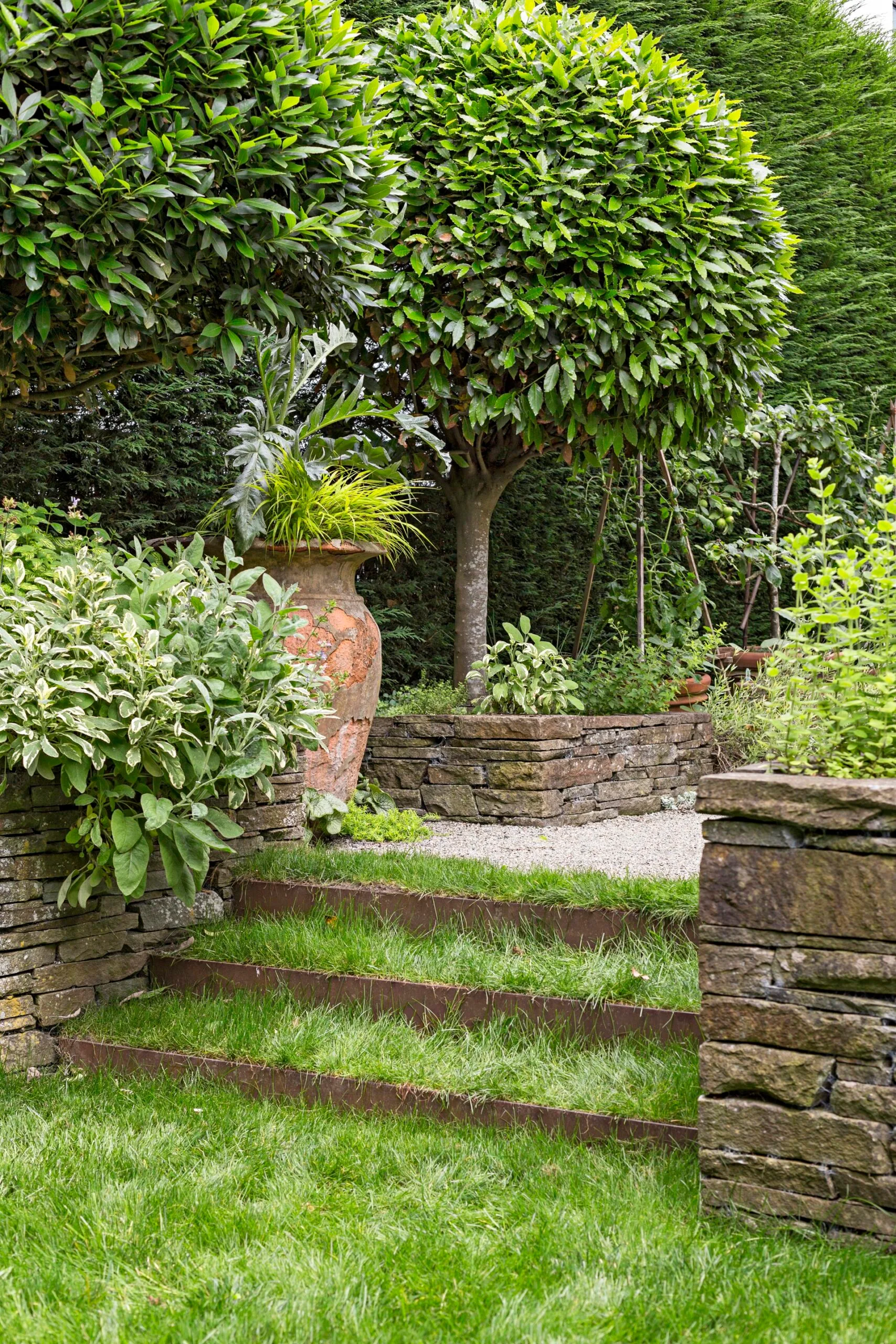 how to create an outdoor living space with corten steel steps covered in grass leading to lawn with gravel above it. short topiary trees in garden bed behind it