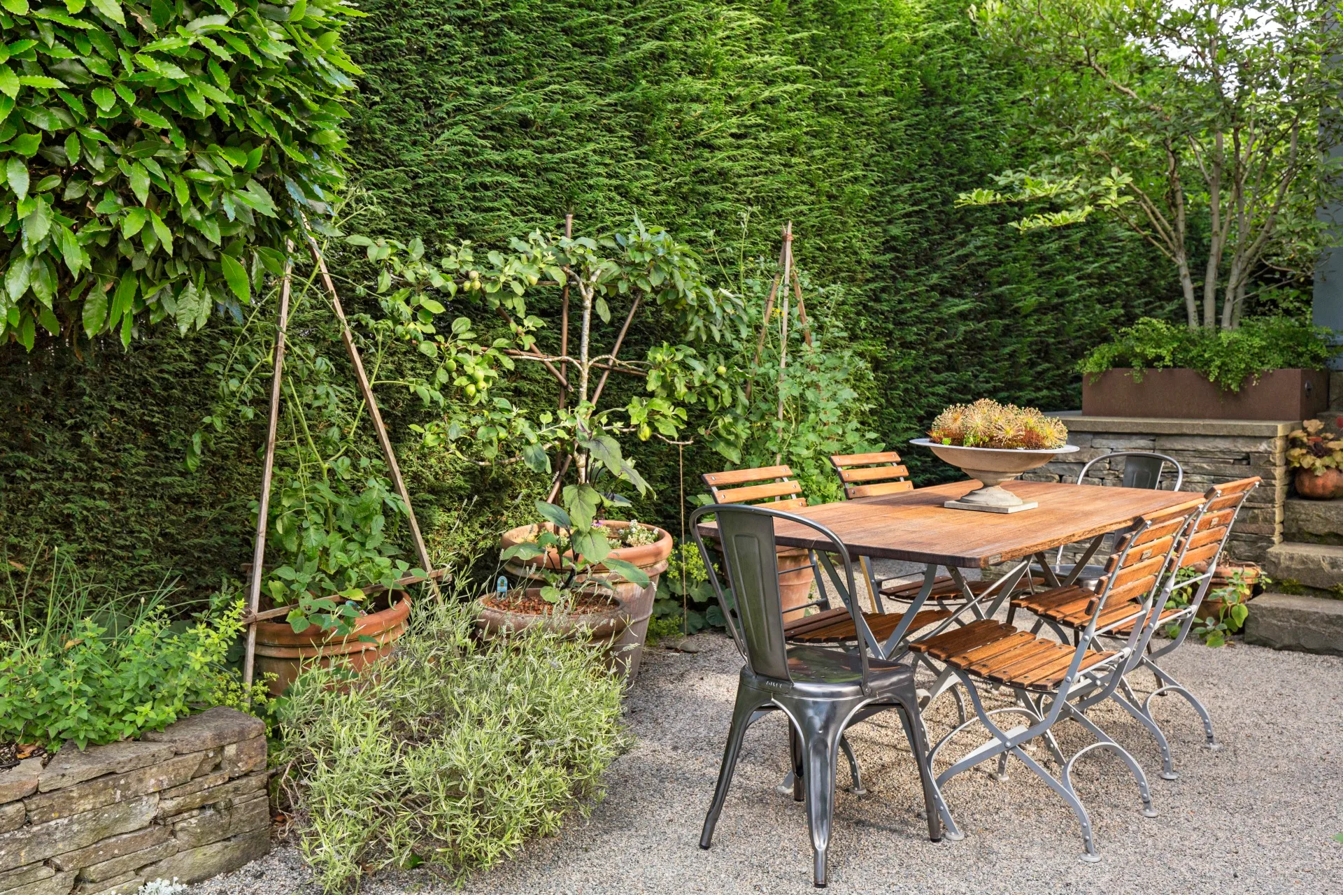 outdoor table setting with metal chairs and wooden table with potted plants behind on trellis' and hedge framing the space