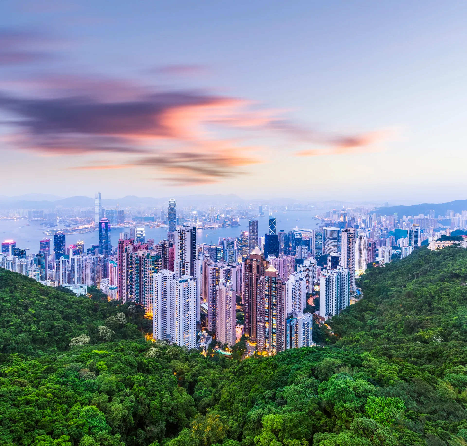 view of hong kong skyline with forest surrounding it