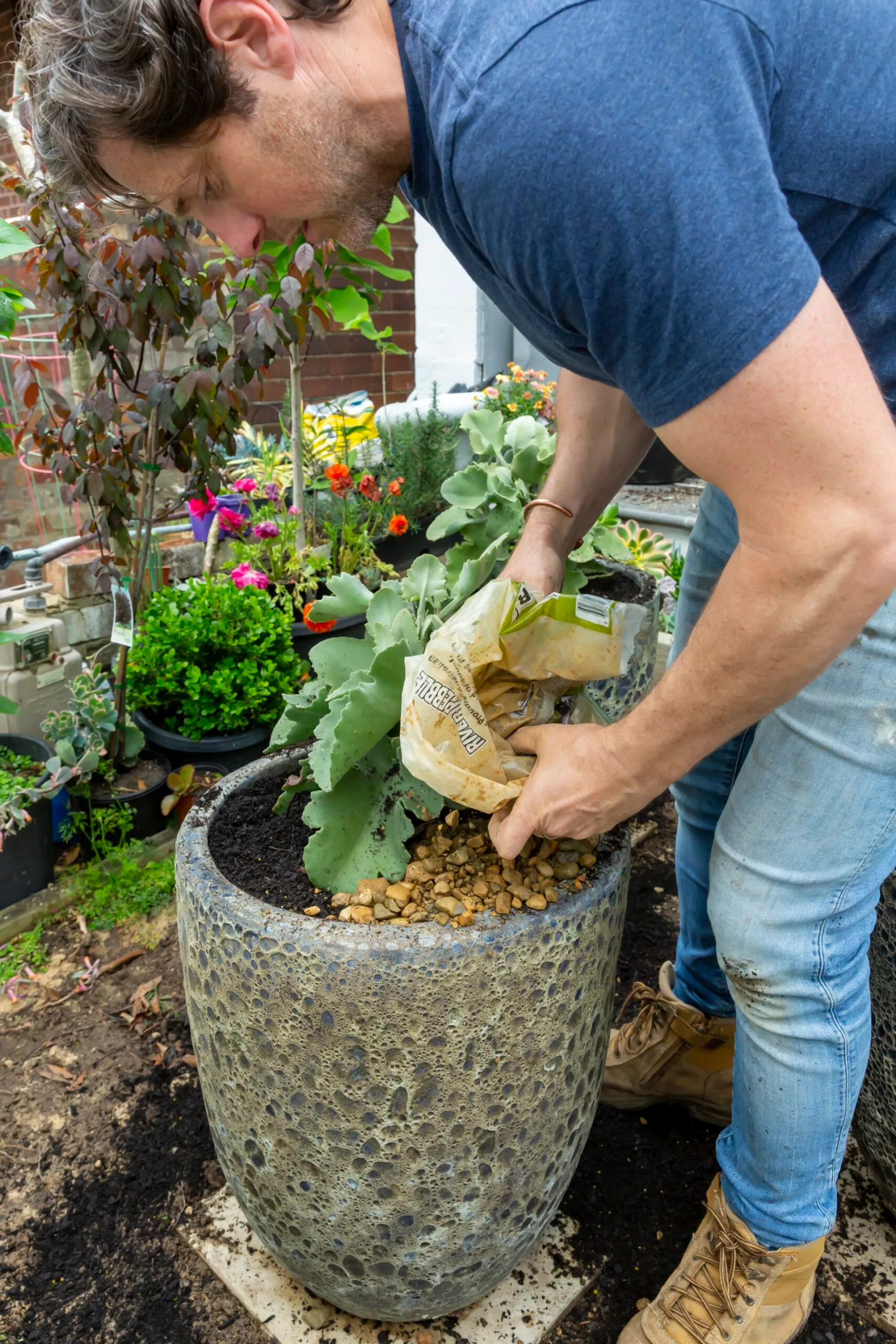 Charlie Albone placing pebble mulch into a potted plant