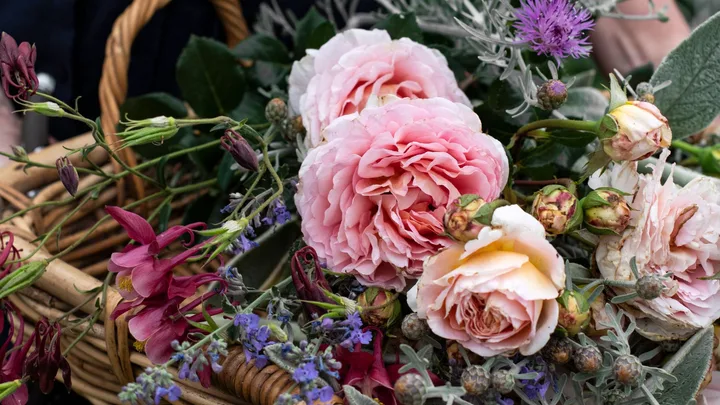 flowers in a basket