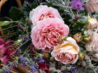 flowers in a basket