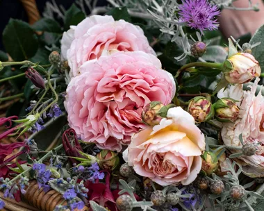 flowers in a basket