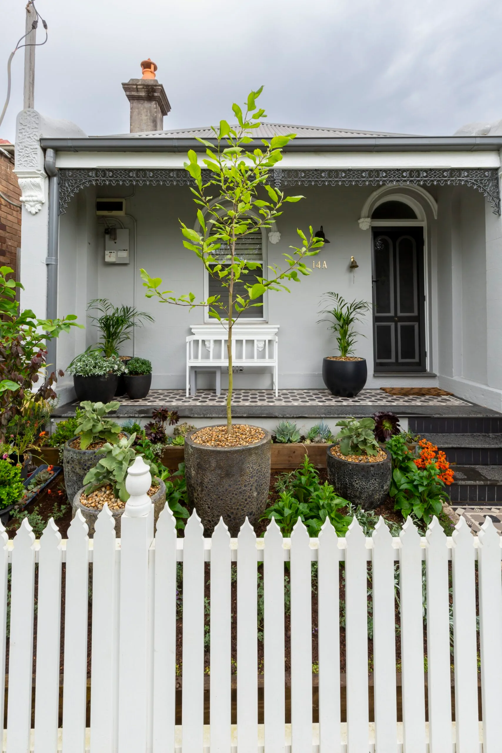 Terrace house front garden framed by a white picket fence