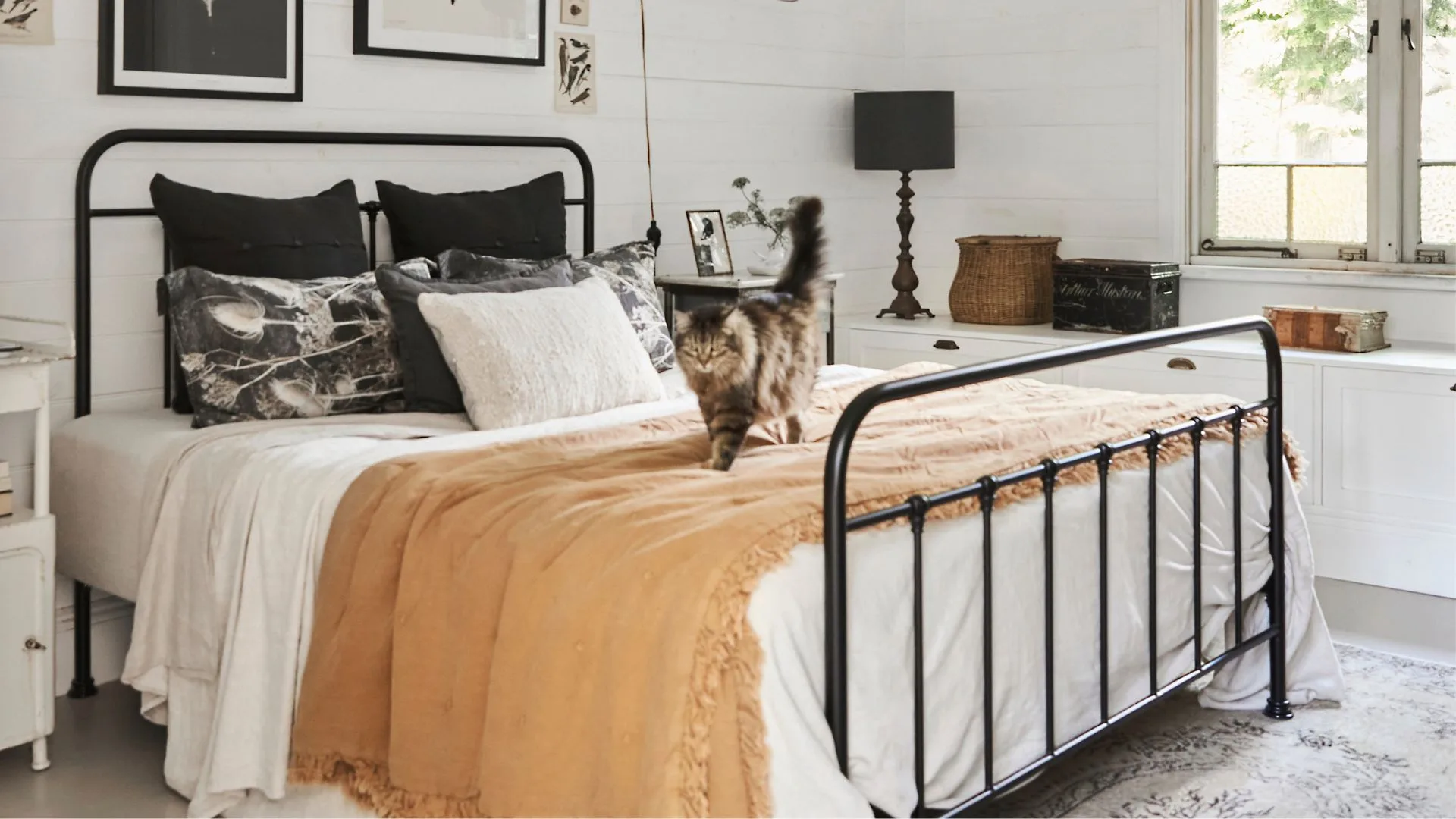 Best cheap mattresses in Australia 2025 A curated guide Better Homes and Gardens