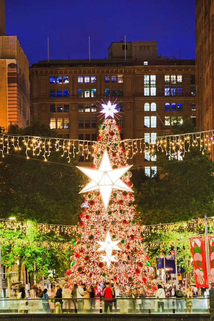 martin palce christmas tree with bright star in the middle