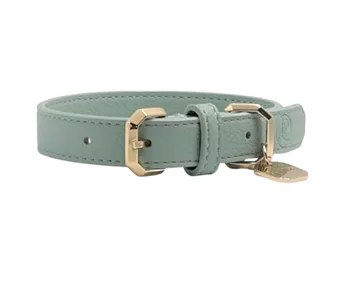 Vegan leather dog collar in sage, LuxPets