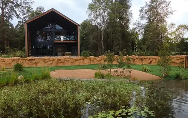 crocodile hunter lodge new crocodile cabin with a frame building floor to ceiling windows and croc sanctuary out the front