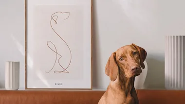 The best personalised gifts for pets and pet owners to buy in 2024