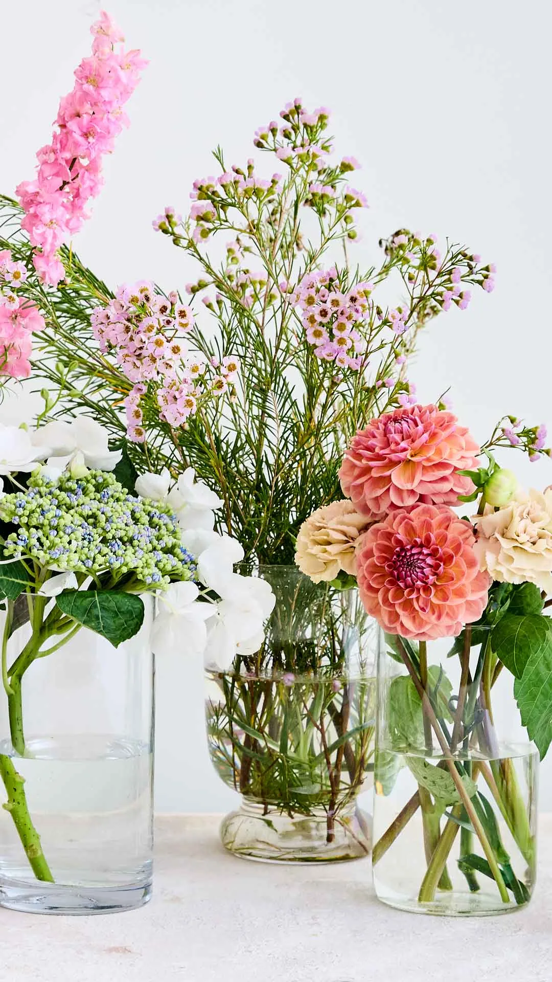 flowers in vases