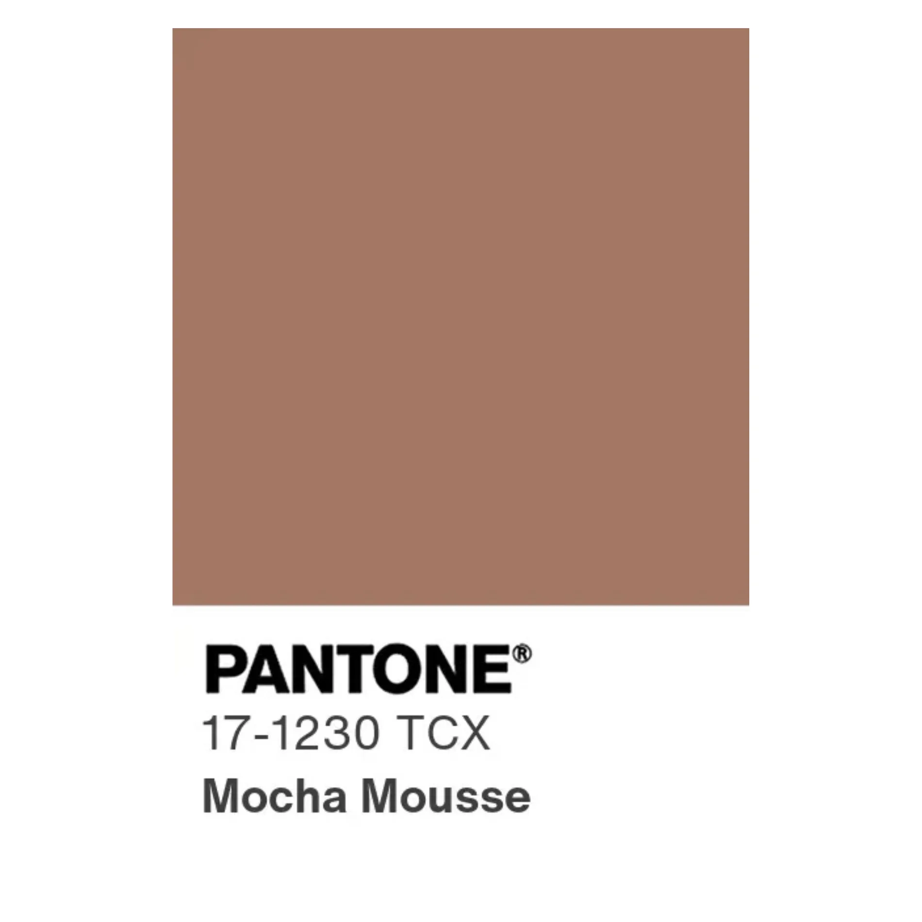mocha mousse colour swatch 