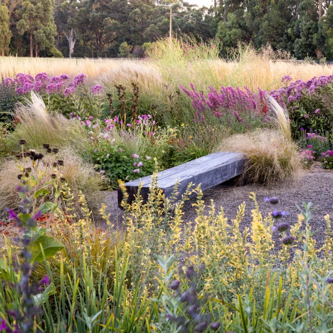 purple flowers and grasses with block stone bench in the middle