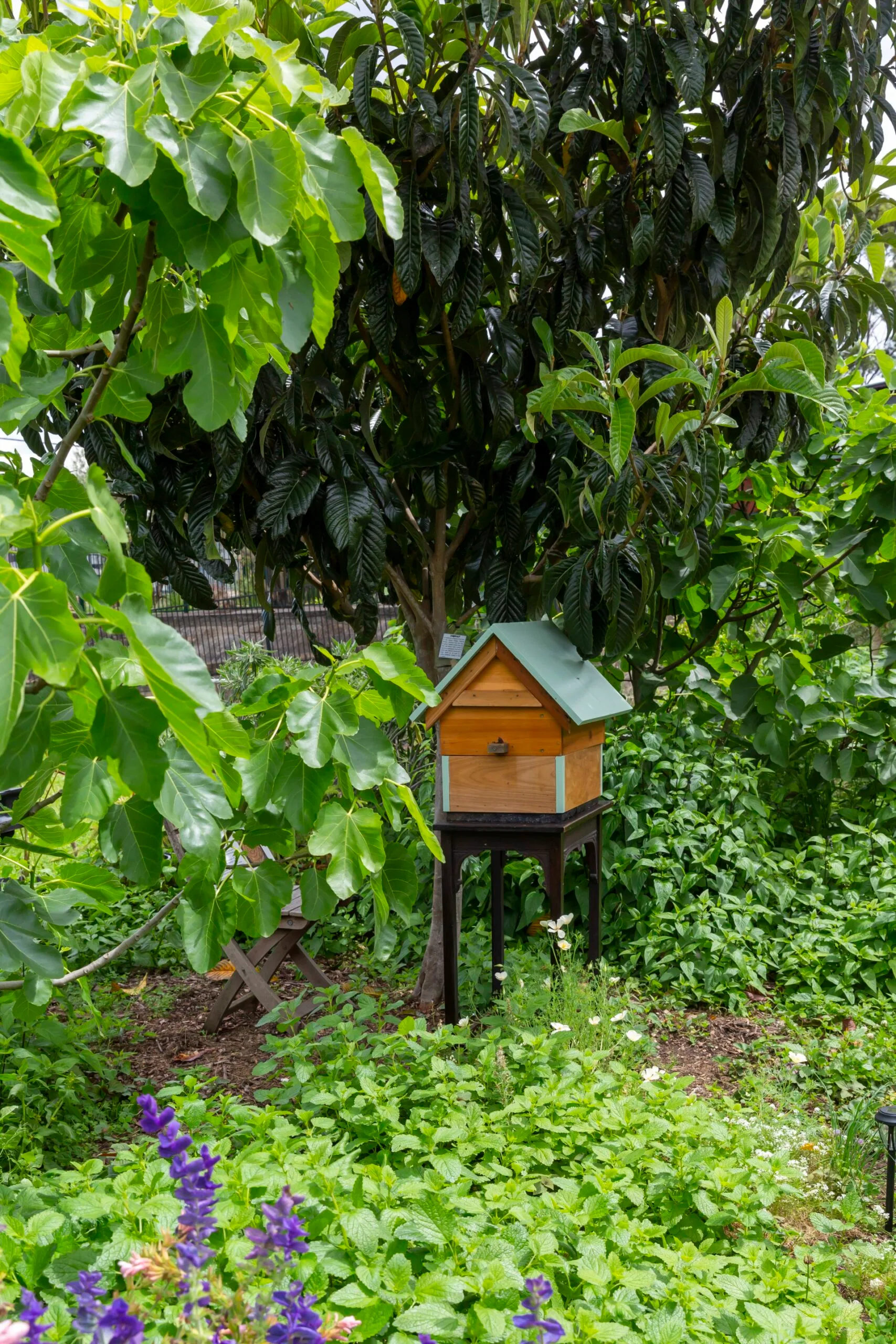wooden beehive in middle of image with fruit trees surrounding it