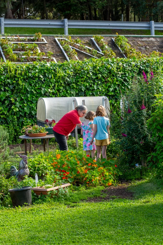 grandmother showing grandkids different plants in the community garden with nasturtium in the front
