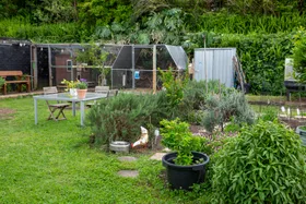 Everything you need to know about community gardens