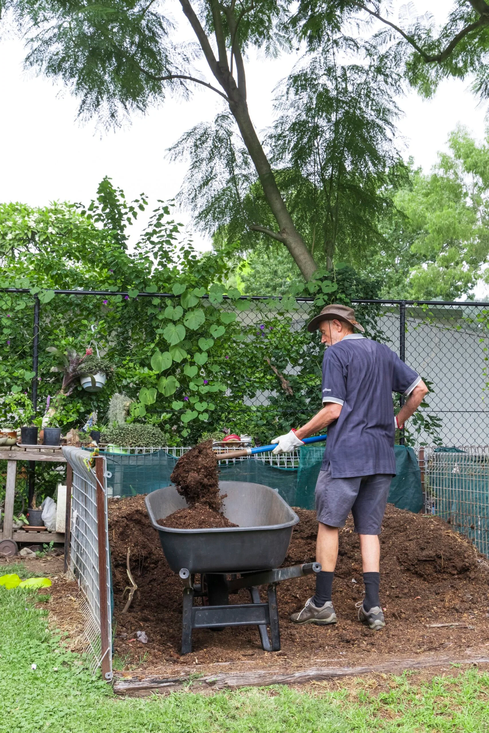 man in Akubra hat shovelling compost into wheelbarrow