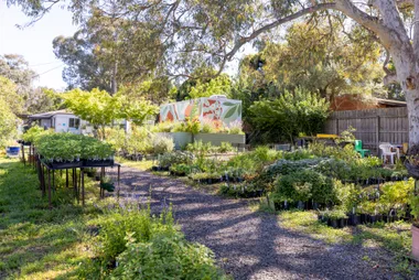 image of sunlit garden with pathway down the middle