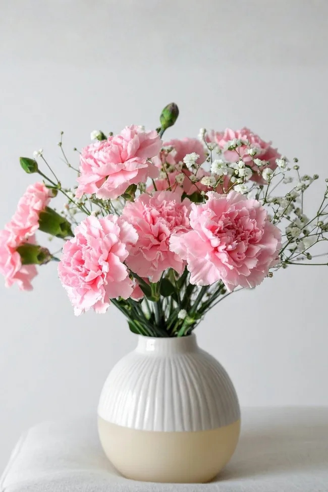 pink carnations with babys breath in vase on white table