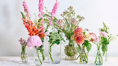 flowers in small vases