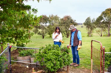 Lush green farm with vegie patch and two people gardening