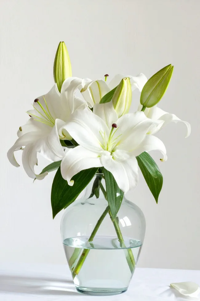 white lilies with two closed in clear glass vase