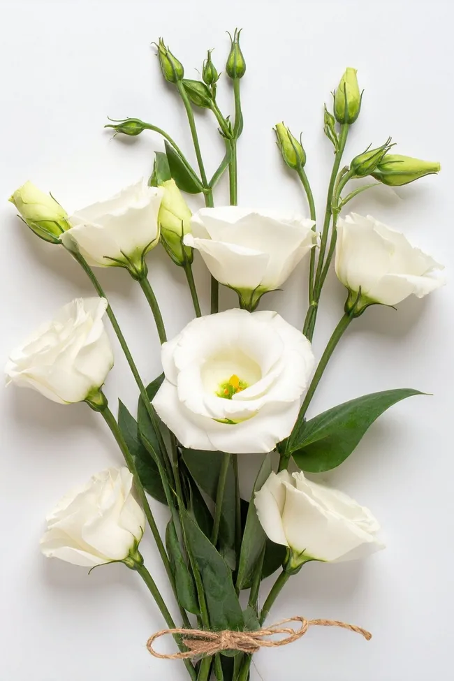 white lisianthus tied together with hemp