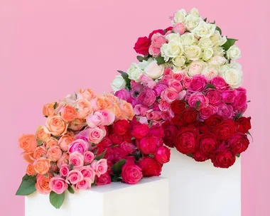 bunches of rose bouquets in red white orange and pink on small white pedestals