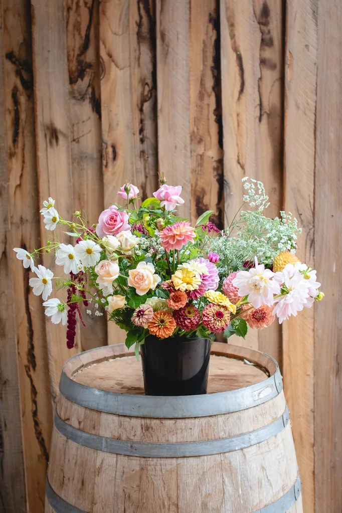 dahlias cosmos and queen annes lace in a bucket on a wine barrel