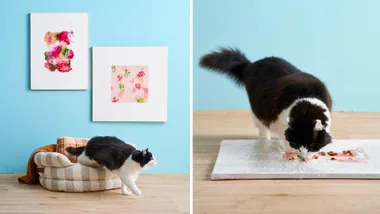 How to make art with your pet