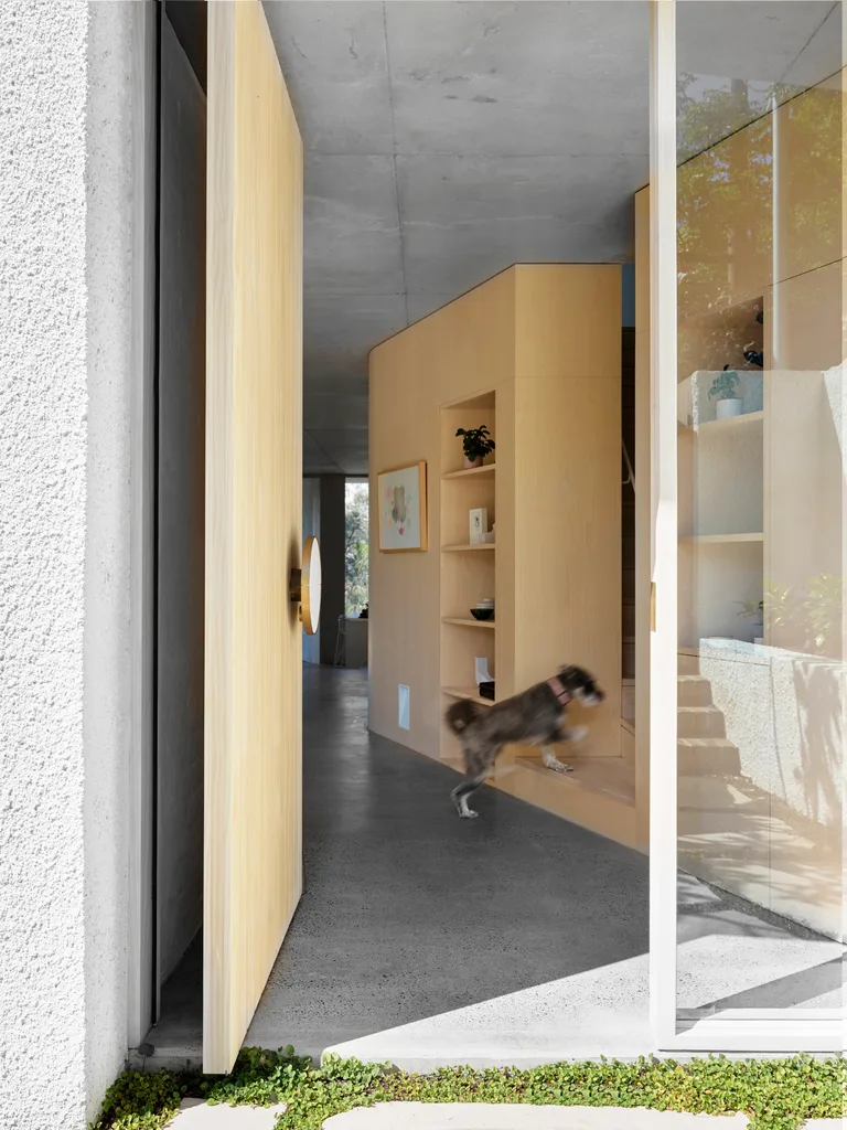 dog jumping on steps of plywood sustainable house