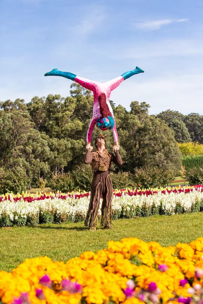 circus tumblers holding each other up in the air surrounded by field of flowers