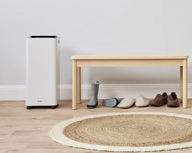 breville dehumidifier nearby a rug, gumboots and umbrellas in a home