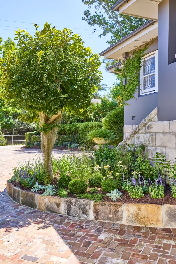 garden bed made with stone with salvia echinacea and a tree in it