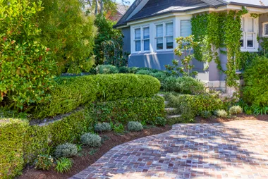 Tidy garden with hedges and pavers