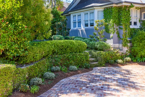 Tidy garden with hedges and pavers