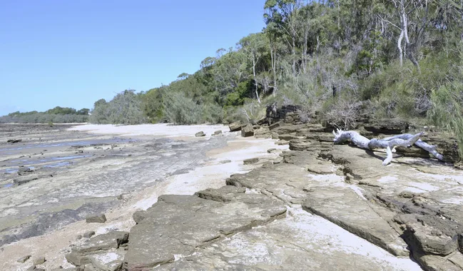 image of fraser coast foreshore with rocks driftwood and ocean