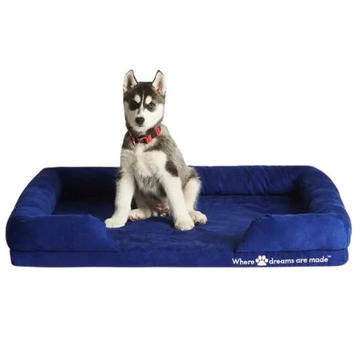 Sleep Republic Dog Bed